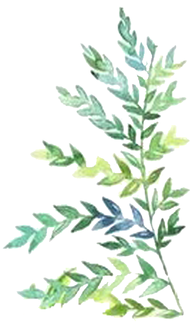 botanical-image